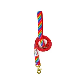 6 ft. Leash - Pride