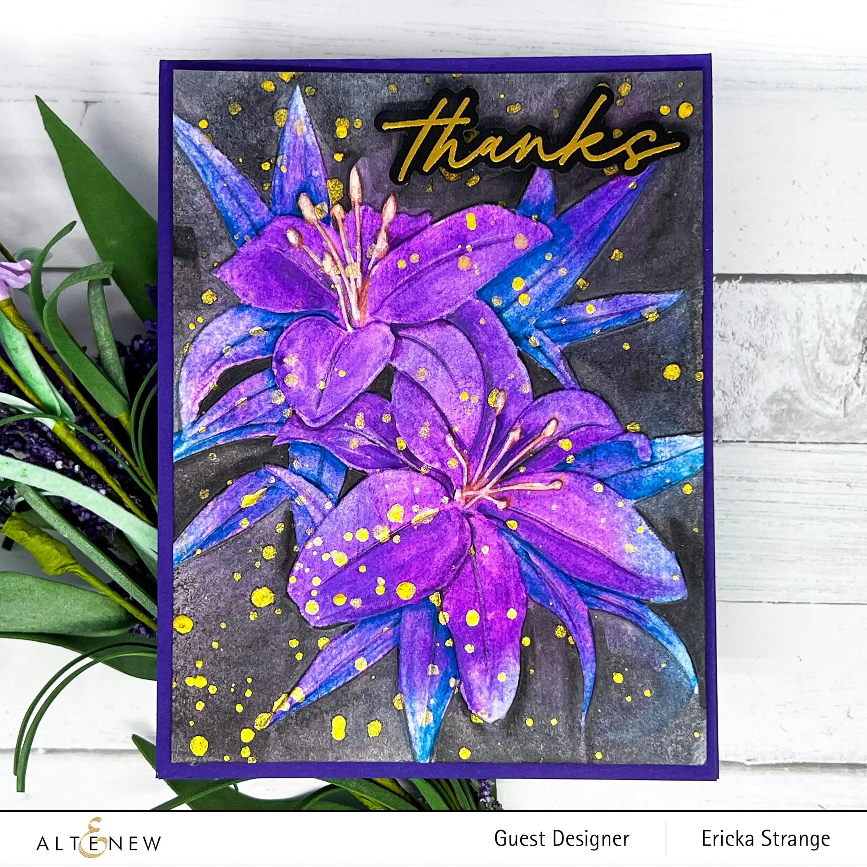 Dreamy Daylilies