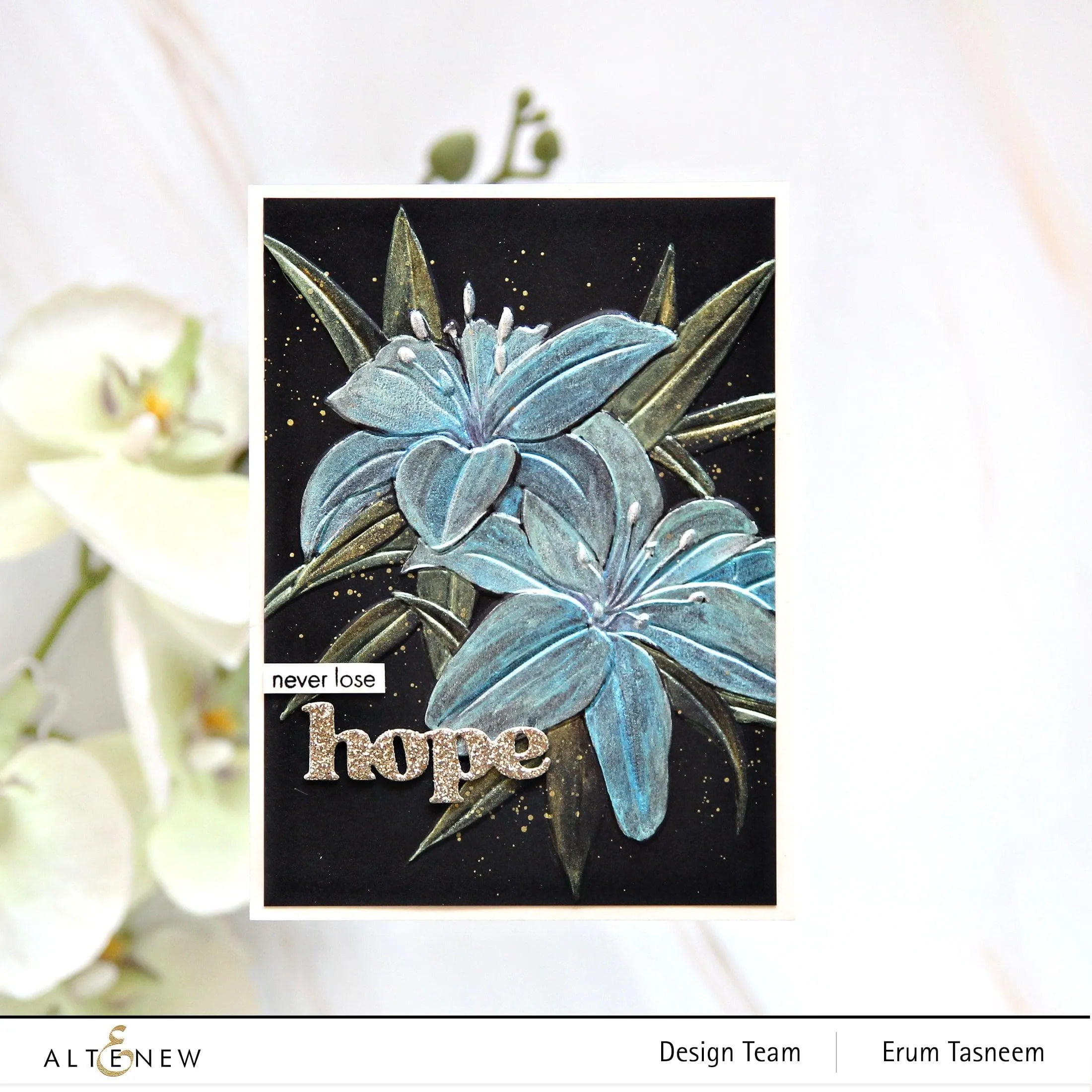 Dreamy Daylilies