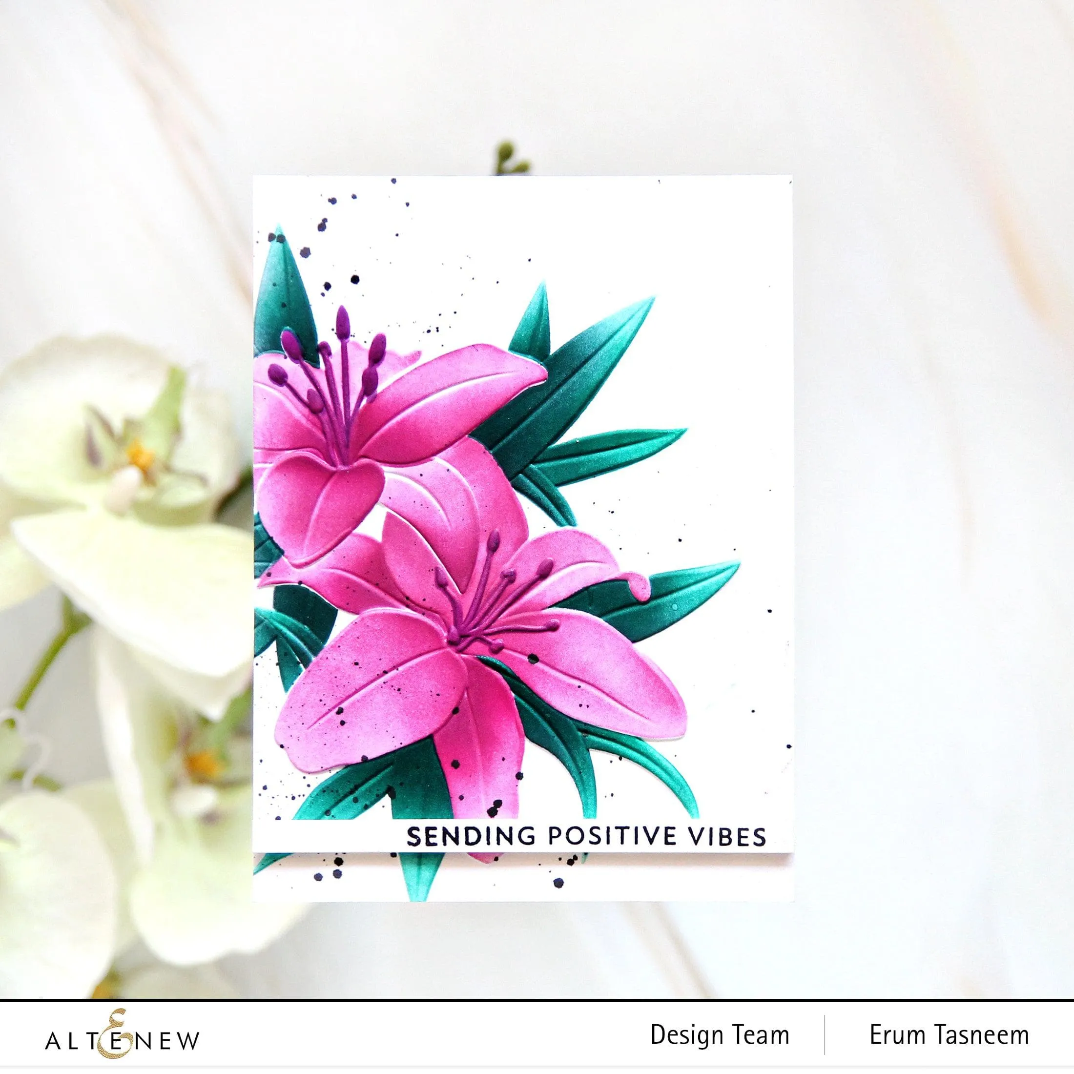 Dreamy Daylilies