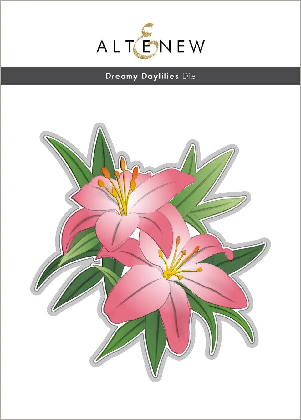 Dreamy Daylilies